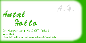 antal hollo business card